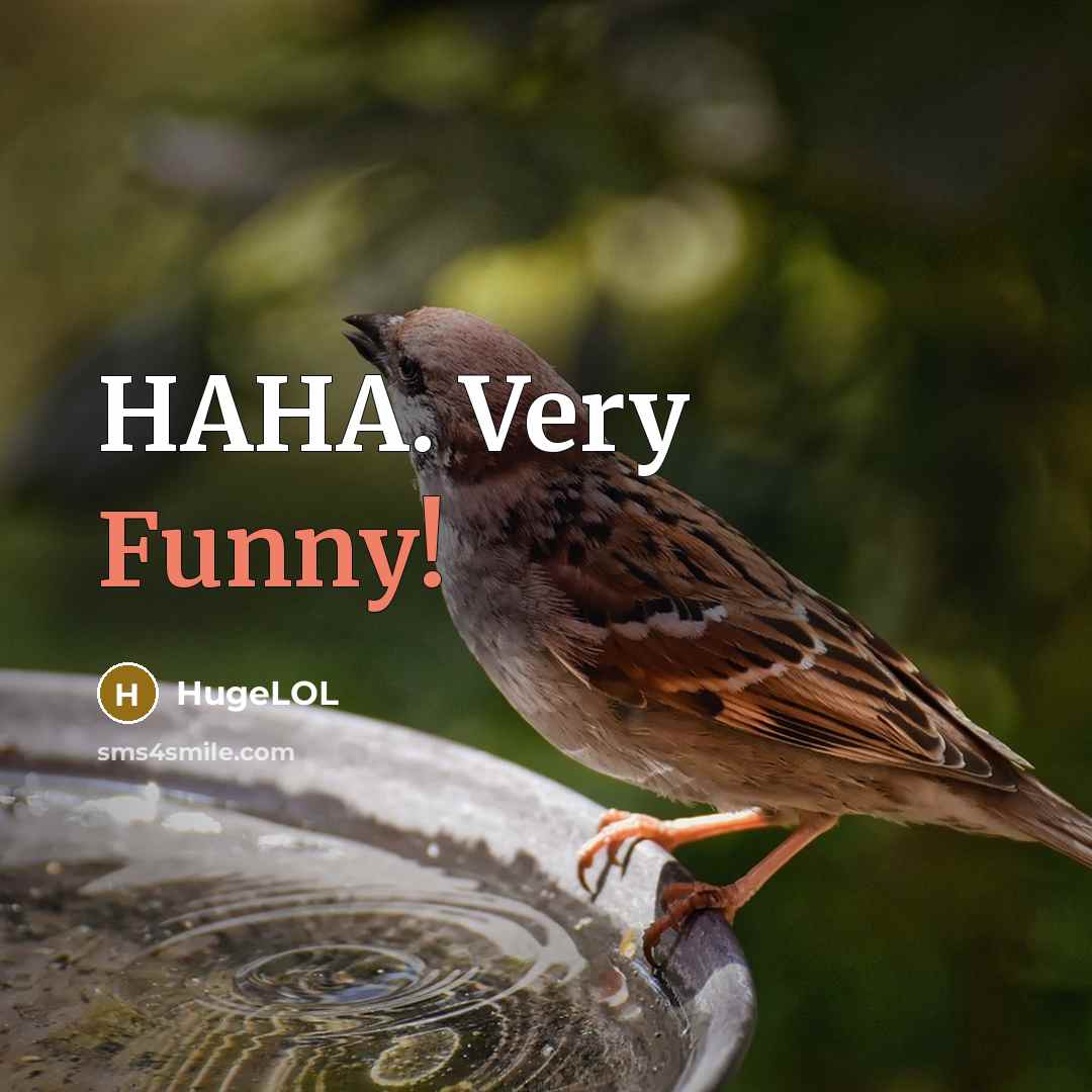 “HAHA. Very Funny!…” quote by HugeLOL