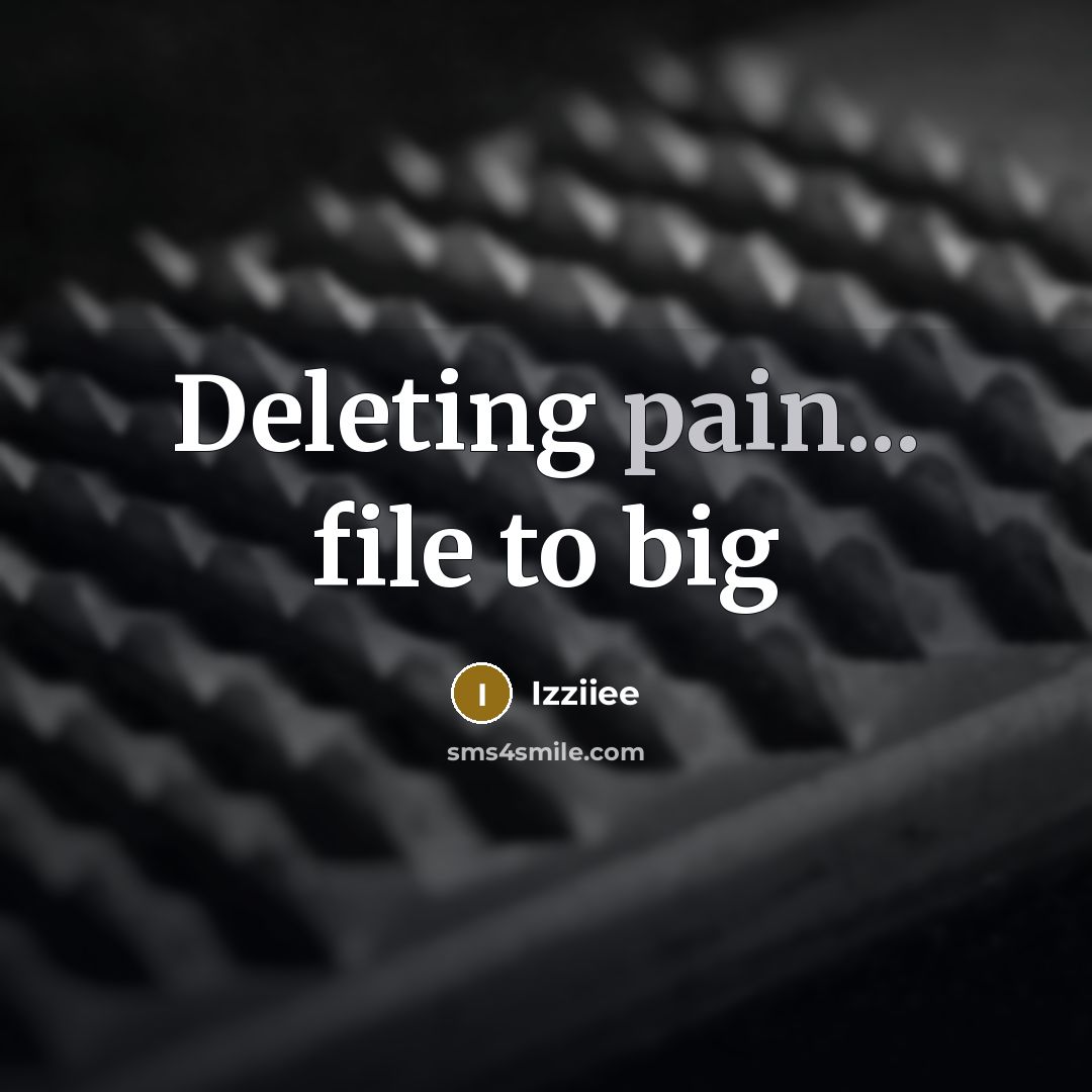 “Deleting pain... file to big…” quote by Izziiee