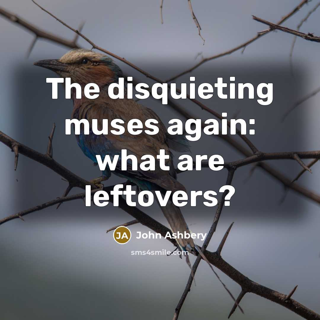 “The disquieting muses again: what are leftovers?…” quote by John Ashbery