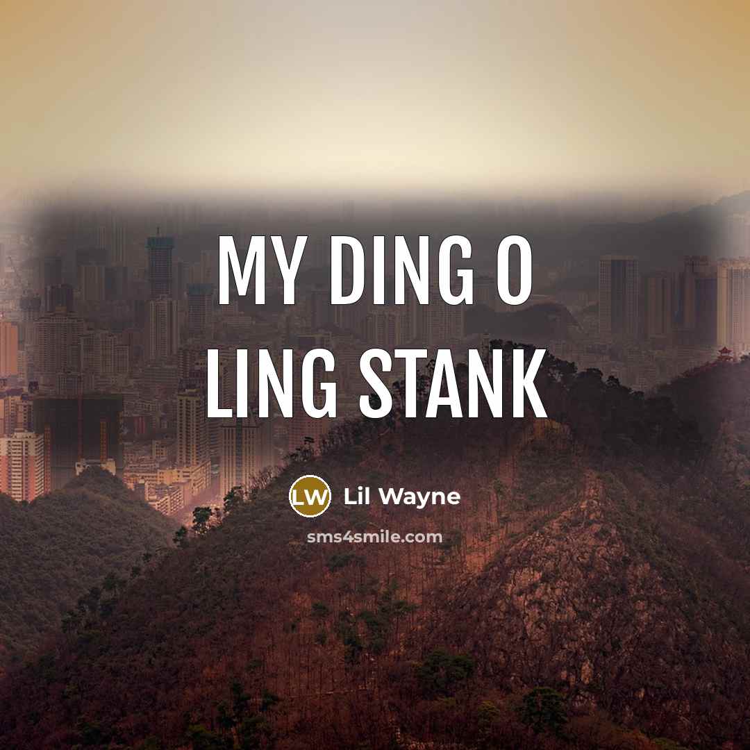 “My ding o ling stank…” quote by Lil Wayne