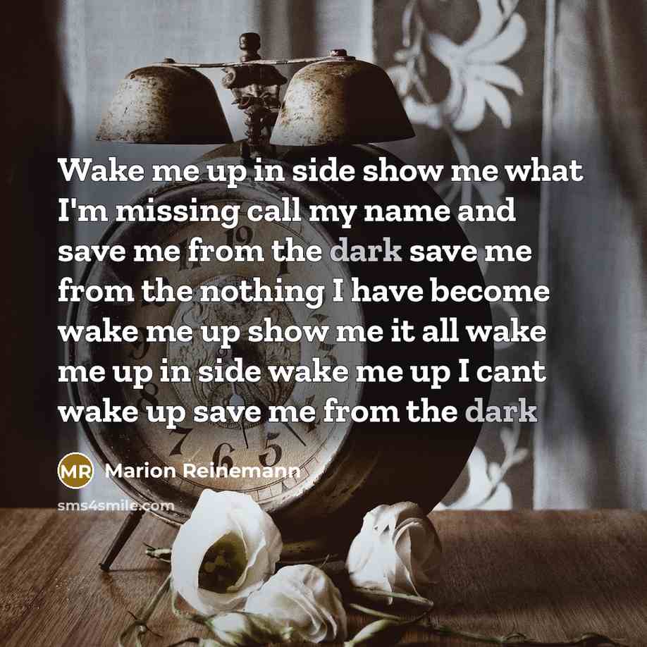 “Wake me up in side show me what I'm missing…” quote by Marion Reinemann