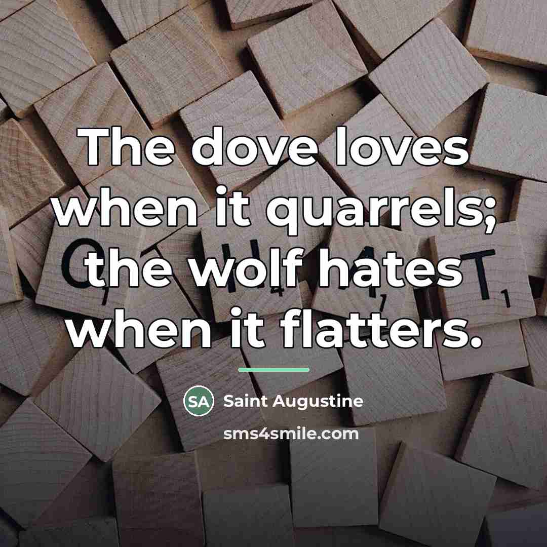 “The dove loves when it quarrels; the wolf hates when…” quote by Saint Augustine