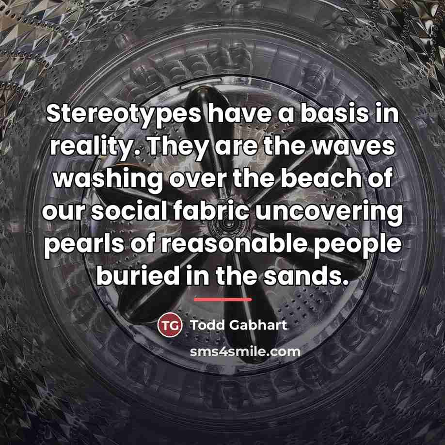“Stereotypes have a basis in reality. They are the waves…” quote by Todd Gabhart