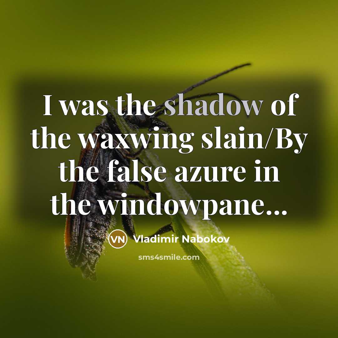 “I was the shadow of the waxwing slain/By the false…” quote by Vladimir Nabokov
