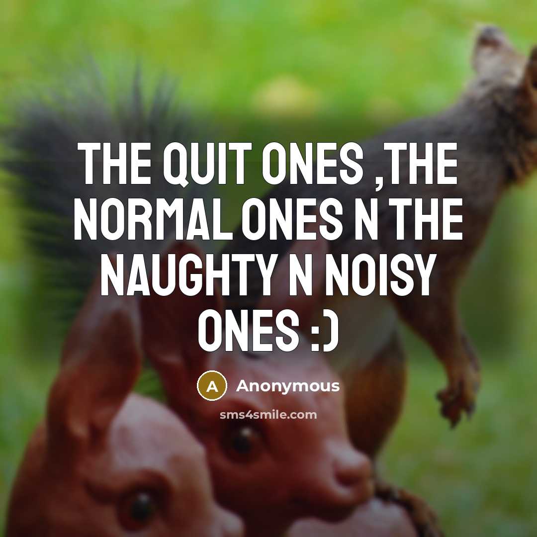 “The quit ones ,the normal ones n the naughty n noisy ones :)” quote by Anonymous