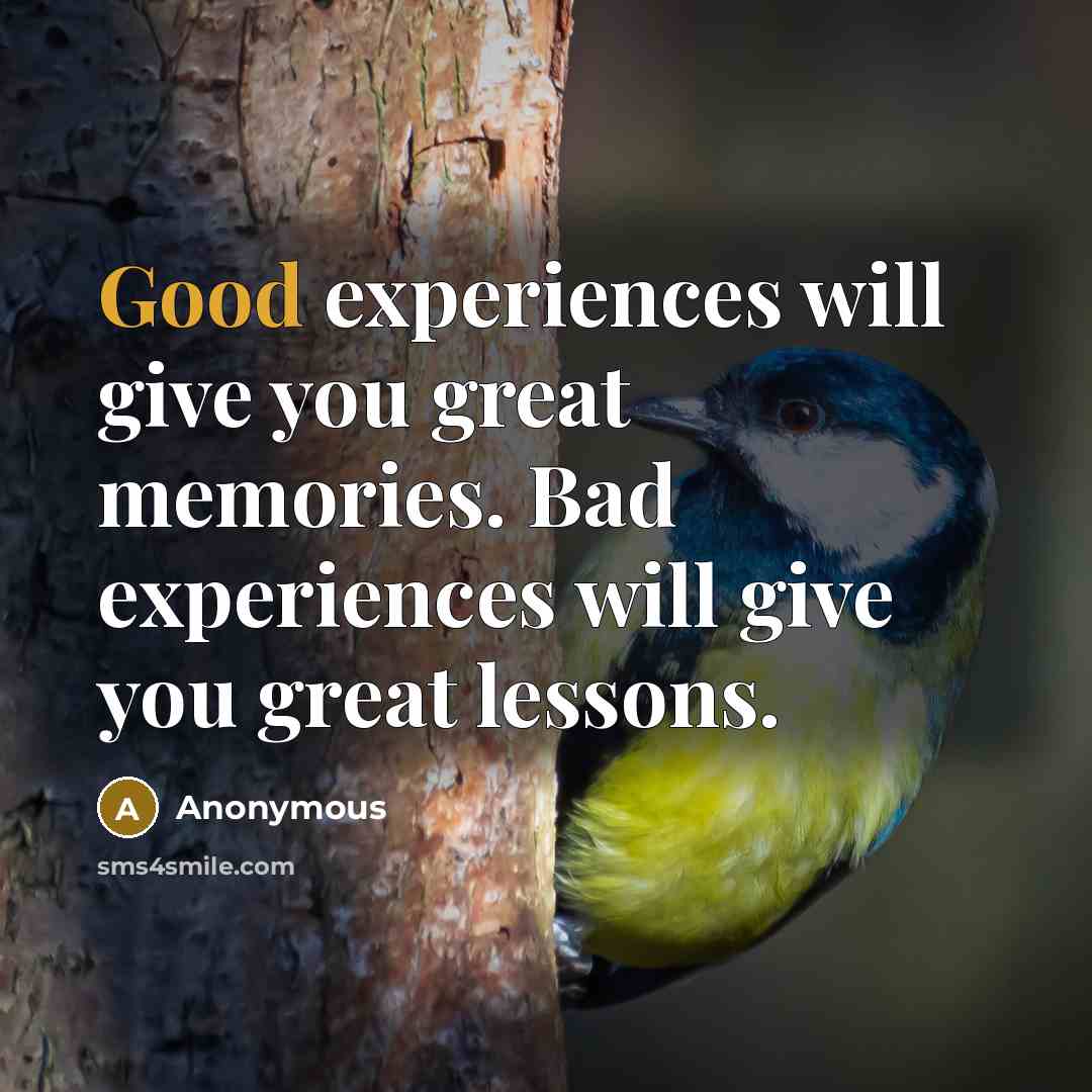 “Good experiences will give you great memories. Bad experiences will give you great lessons.” quote by Anonymous