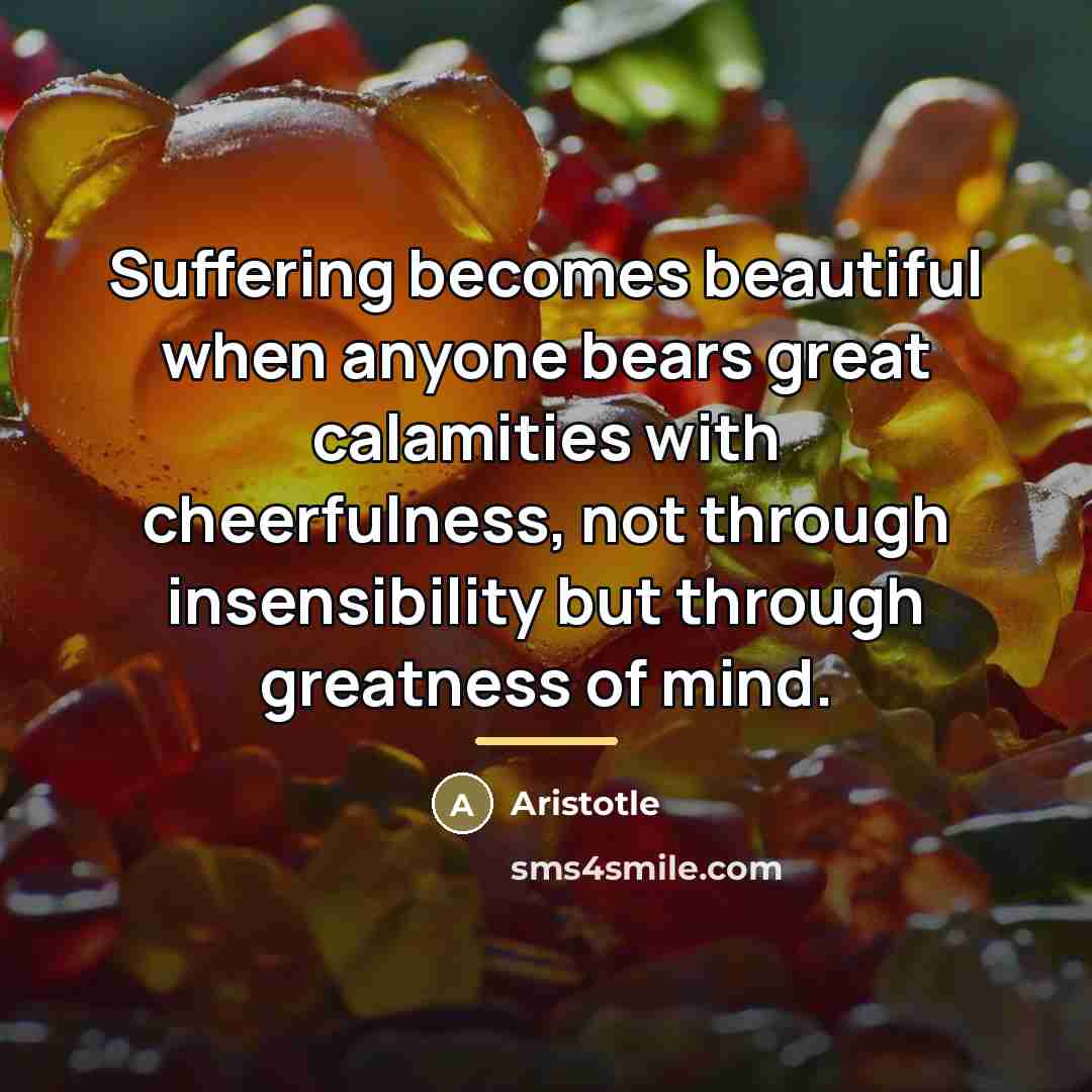 “Suffering becomes beautiful when anyone bears great calamities with cheerfulness,…” quote by Aristotle