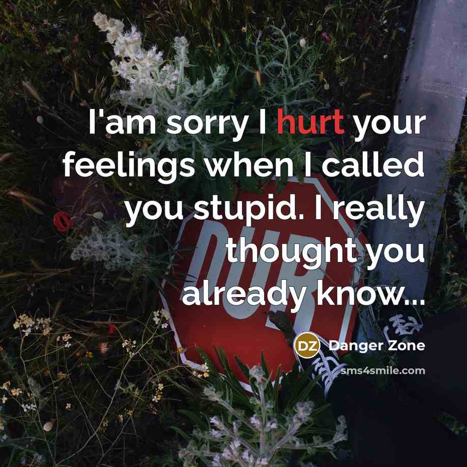 “I'am sorry I hurt your feelings when I called you…” quote by Danger Zone