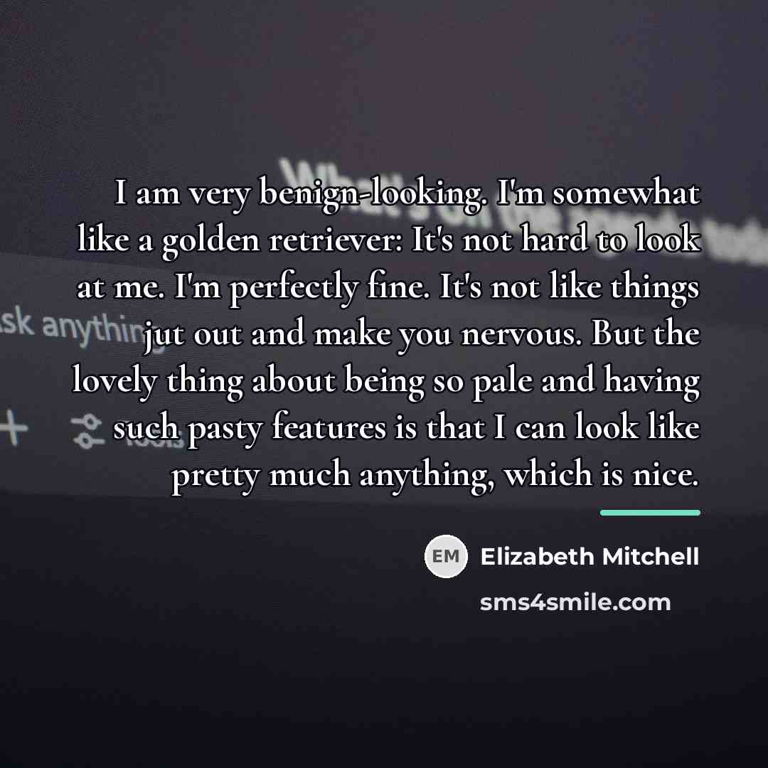 “I am very benign-looking. I'm somewhat like a golden retriever:…” quote by Elizabeth Mitchell