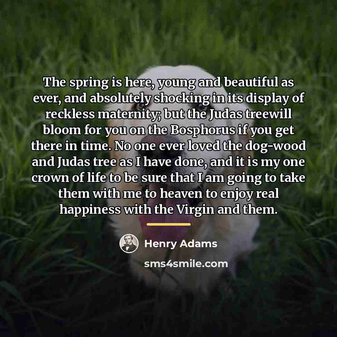 “The spring is here, young and beautiful as ever, and…” quote by Henry Adams