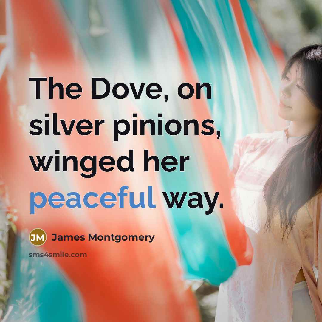 “The Dove, on silver pinions, winged her peaceful way.…” quote by James Montgomery