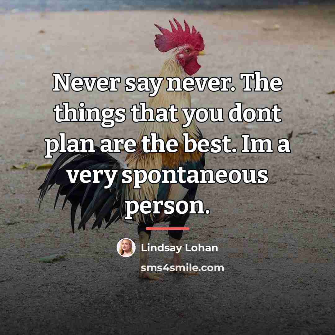 “Never say never. The things that you dont plan are…” quote by Lindsay Lohan