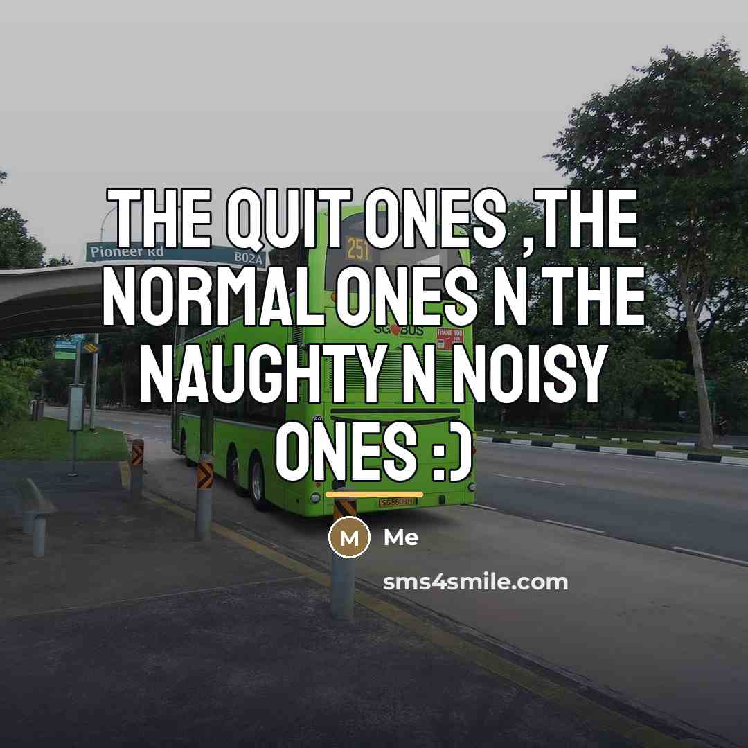 “The quit ones ,the normal ones n the naughty n…” quote by Me