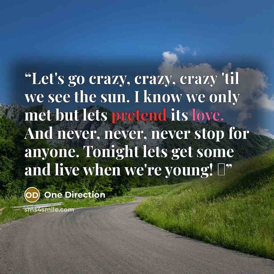 “Let's go crazy, crazy, crazy 'til we see the sun. I know we only met but lets pretend its love. And never, never, never stop for anyone. Tonight lets get some and live when we're young! ♫” quote by One Direction