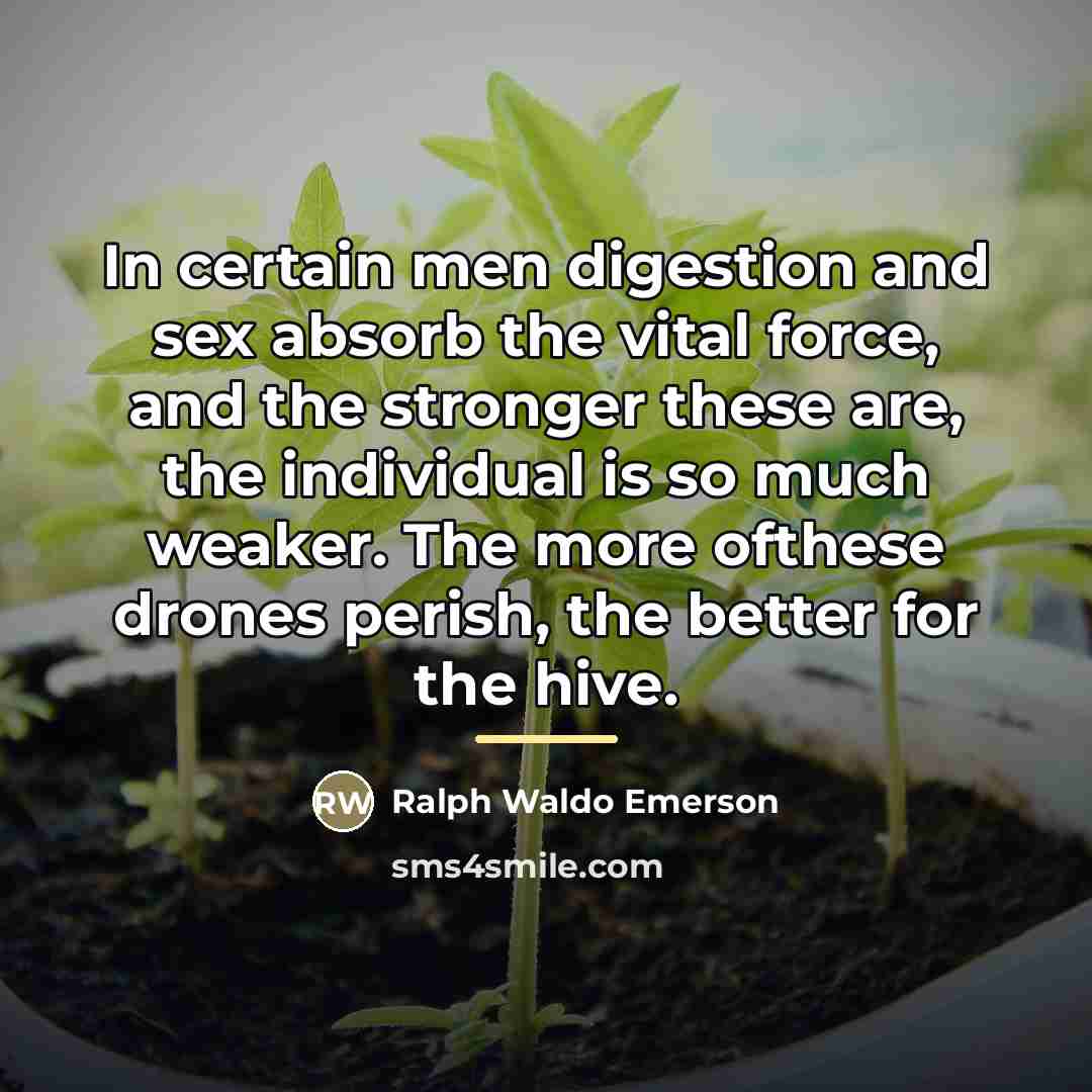 “In certain men digestion and sex absorb the vital force,…” quote by Ralph Waldo Emerson