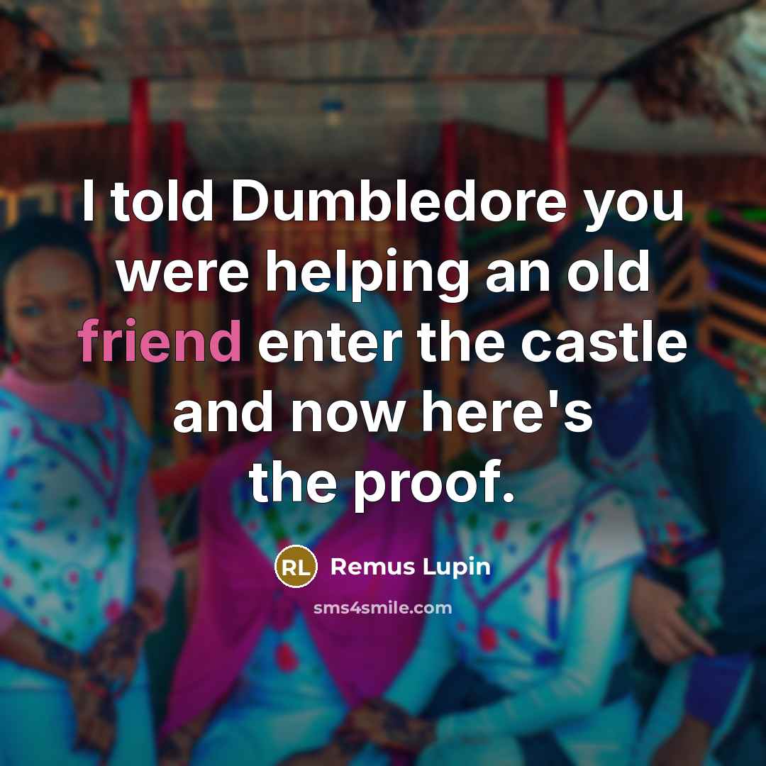 “I told Dumbledore you were helping an old friend enter…” quote by Remus Lupin