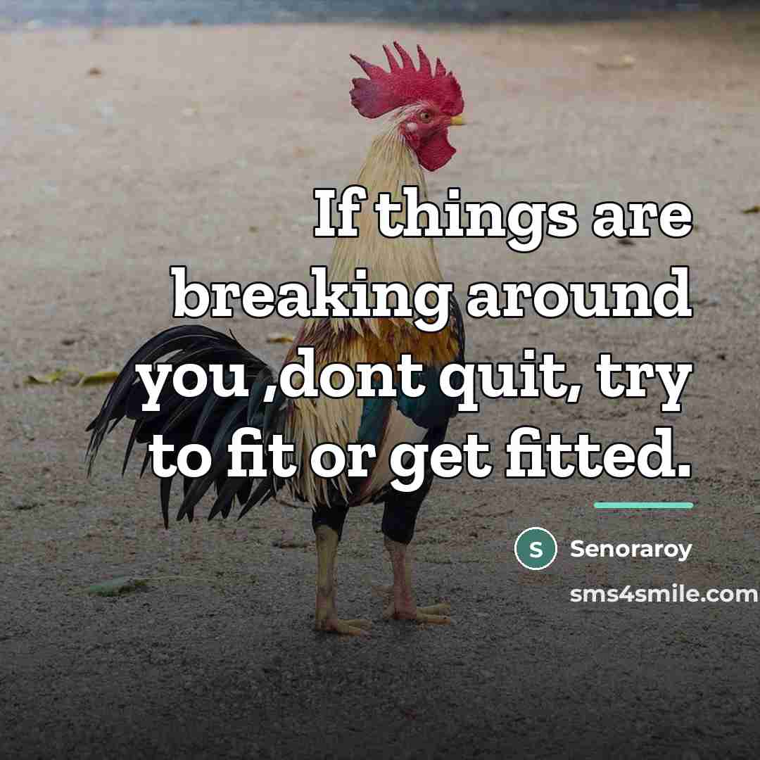 “If things are breaking around you ,dont quit, try to…” quote by Senoraroy