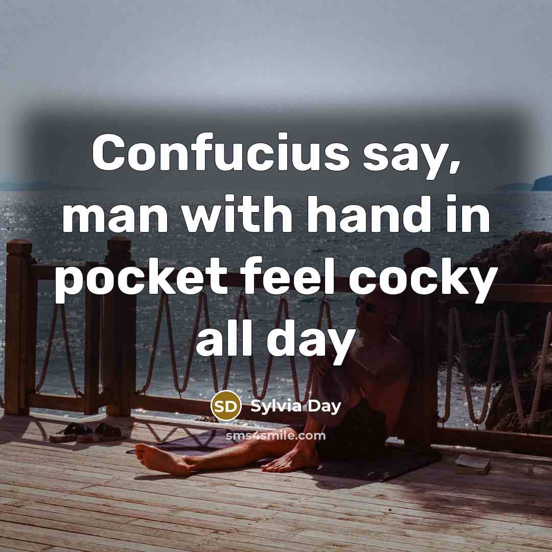 “Confucius say, man with hand in pocket feel cocky all…” quote by Sylvia Day
