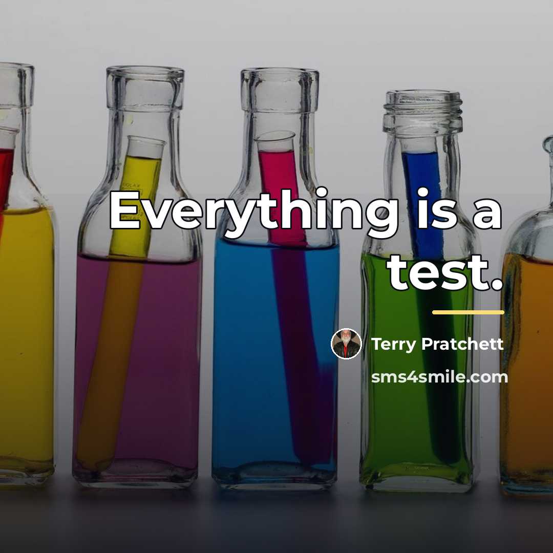“Everything is a test.…” quote by Terry Pratchett