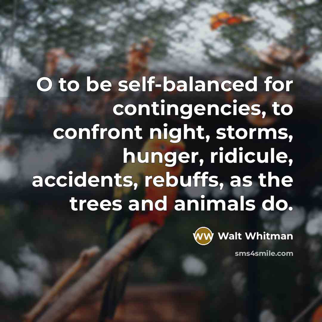 “O to be self-balanced for contingencies, to confront night, storms,…” quote by Walt Whitman