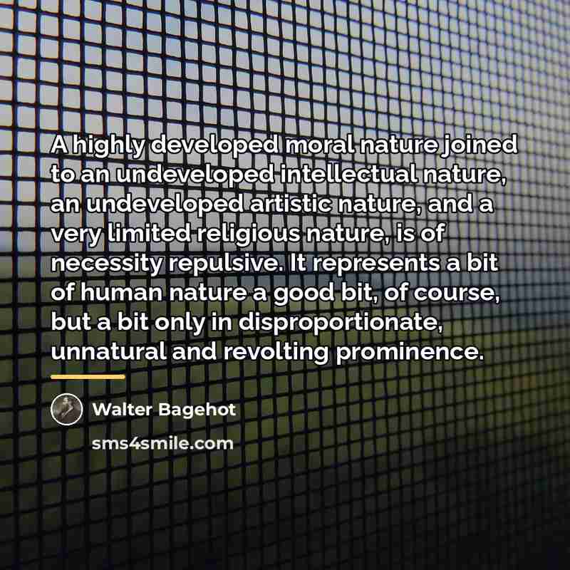 “A highly developed moral nature joined to an undeveloped intellectual…” quote by Walter Bagehot