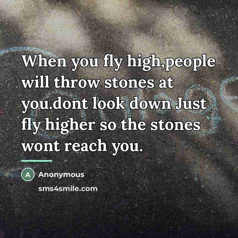 “When you fly high,people will throw stones at you.dont look…” quote by Anonymous