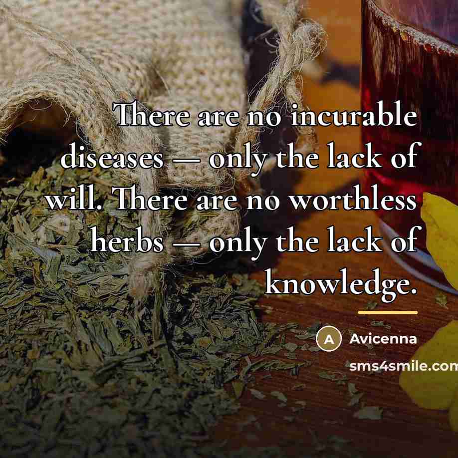 “There are no incurable diseases — only the lack of…” quote by Avicenna