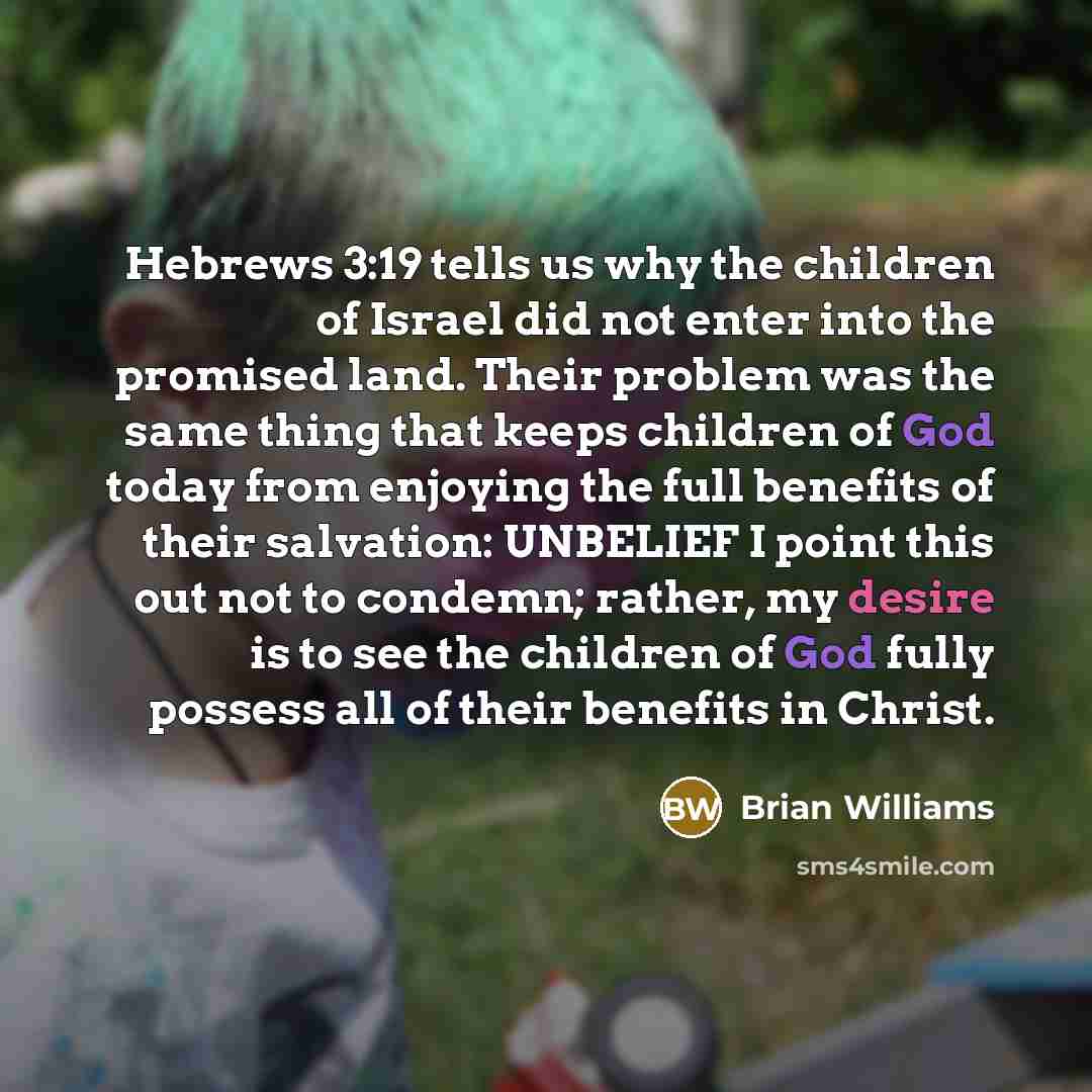 “Hebrews 3:19 tells us why the children of Israel did…” quote by Brian Williams