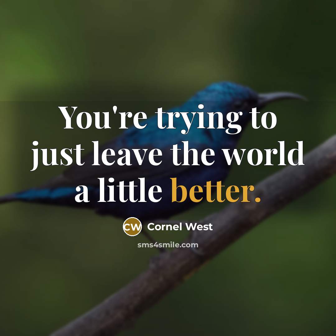“You're trying to just leave the world a little better.” quote by Cornel West