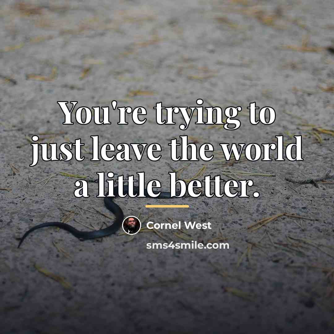 “You're trying to just leave the world a little better.…” quote by Cornel West