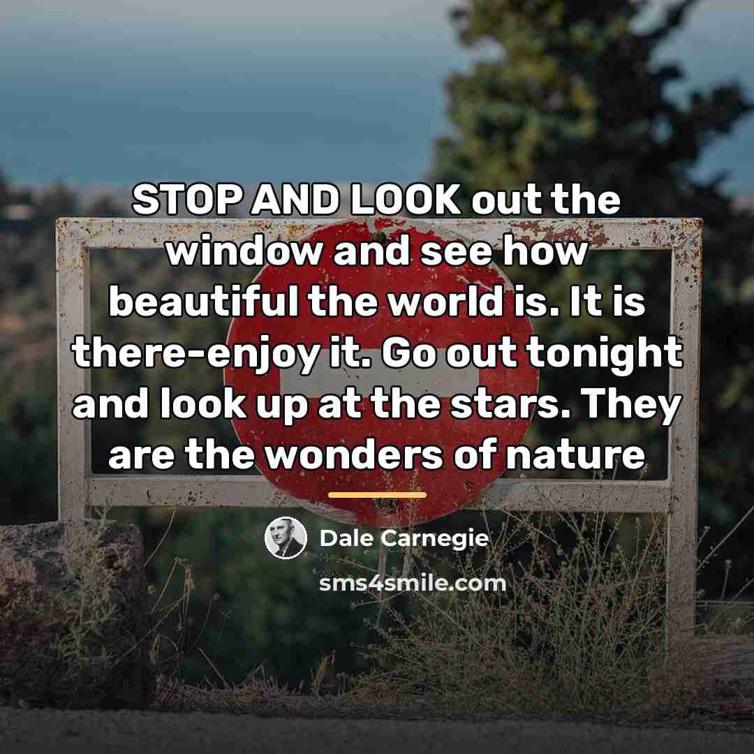“STOP AND LOOK out the window and see how beautiful…” quote by Dale Carnegie