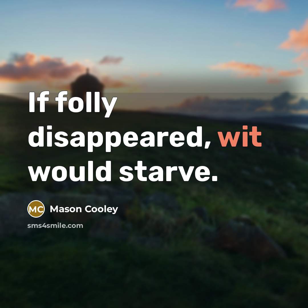 “If folly disappeared, wit would starve.…” quote by Mason Cooley