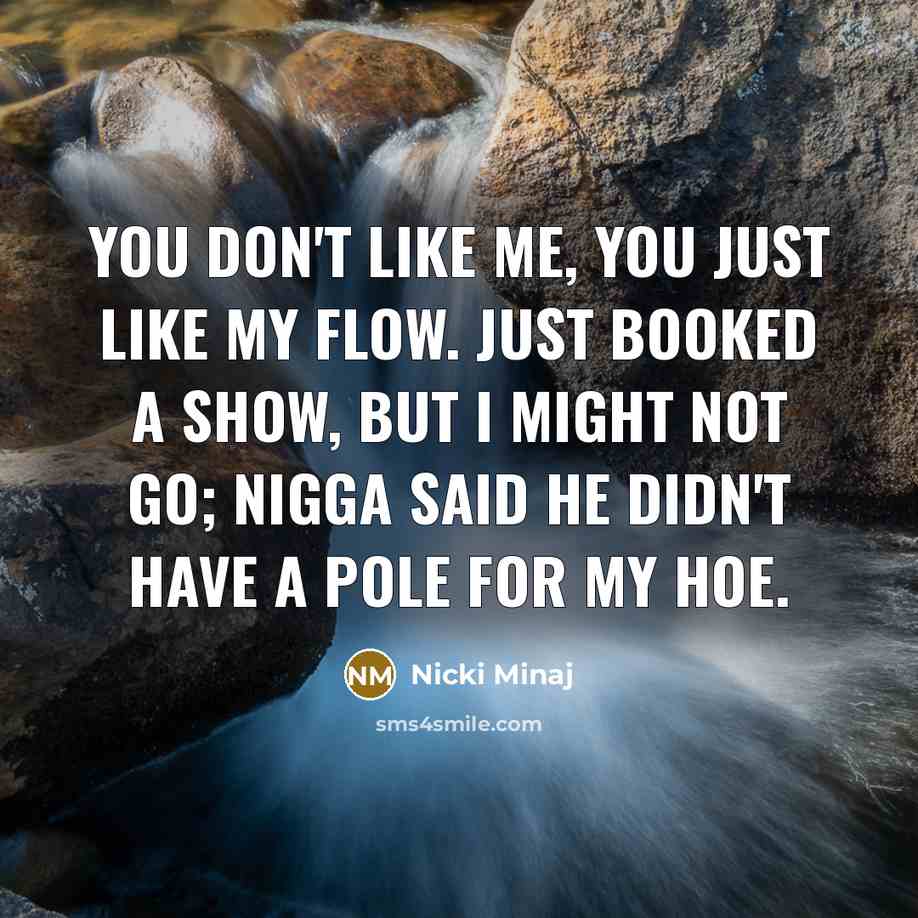 “You don't like me, you just like my flow. Just…” quote by Nicki Minaj