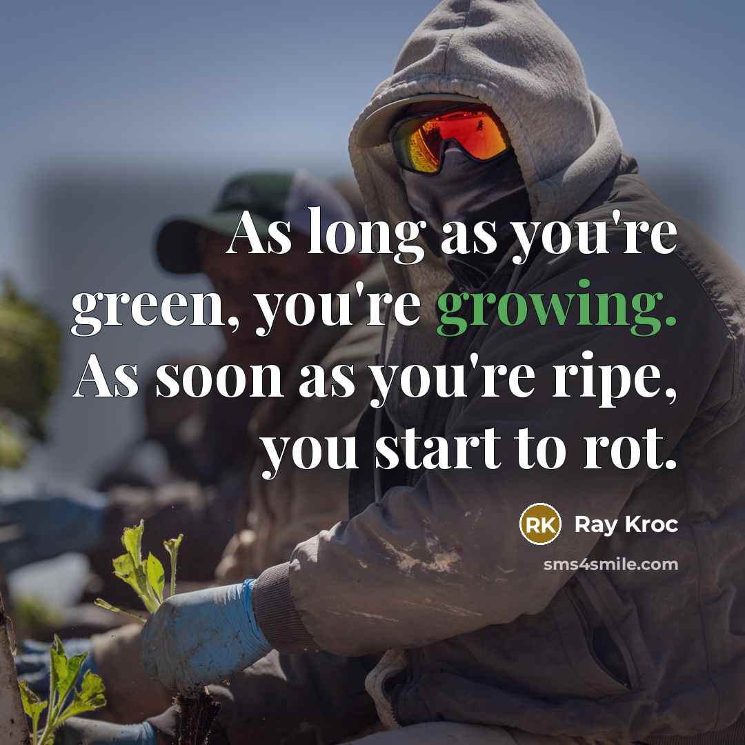 “As long as you're green, you're growing. As soon as…” quote by Ray Kroc