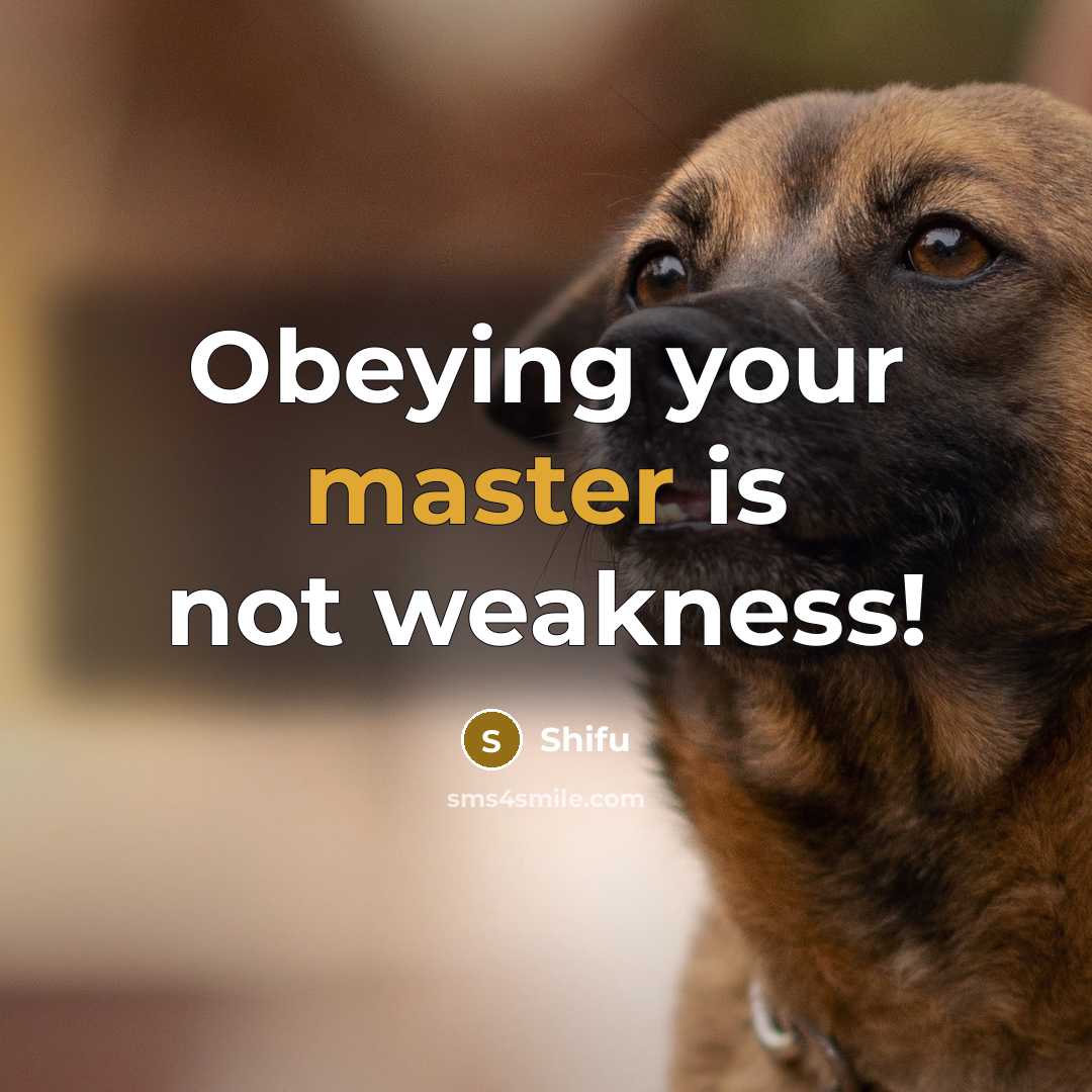 “Obeying your master is not weakness!…” quote by Shifu