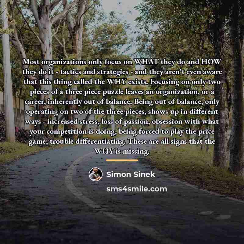 “Most organizations only focus on WHAT they do and HOW…” quote by Simon Sinek
