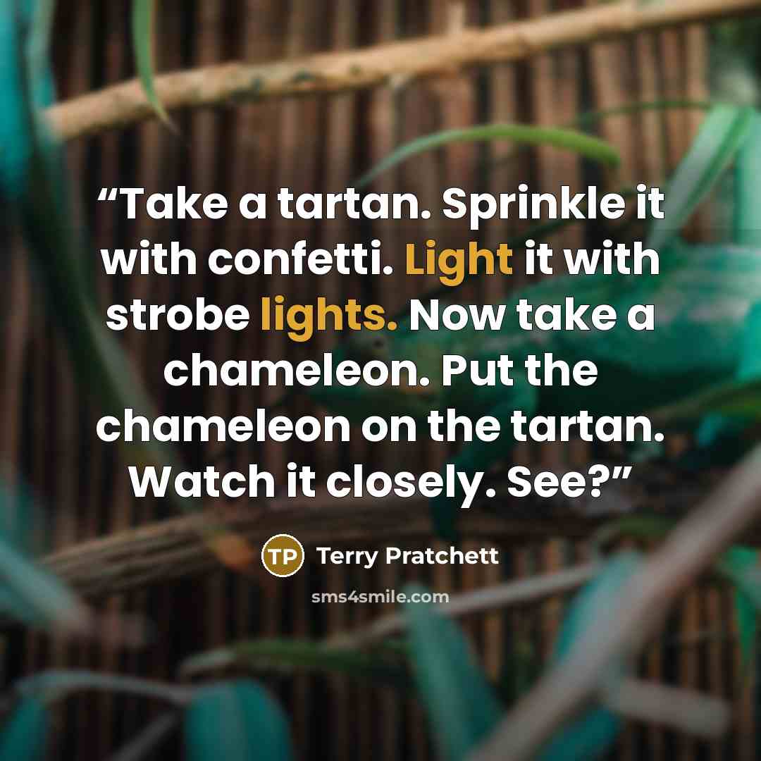 “Take a tartan. Sprinkle it with confetti. Light it with strobe lights. Now take a chameleon. Put the chameleon on the tartan. Watch it closely. See?” quote by Terry Pratchett