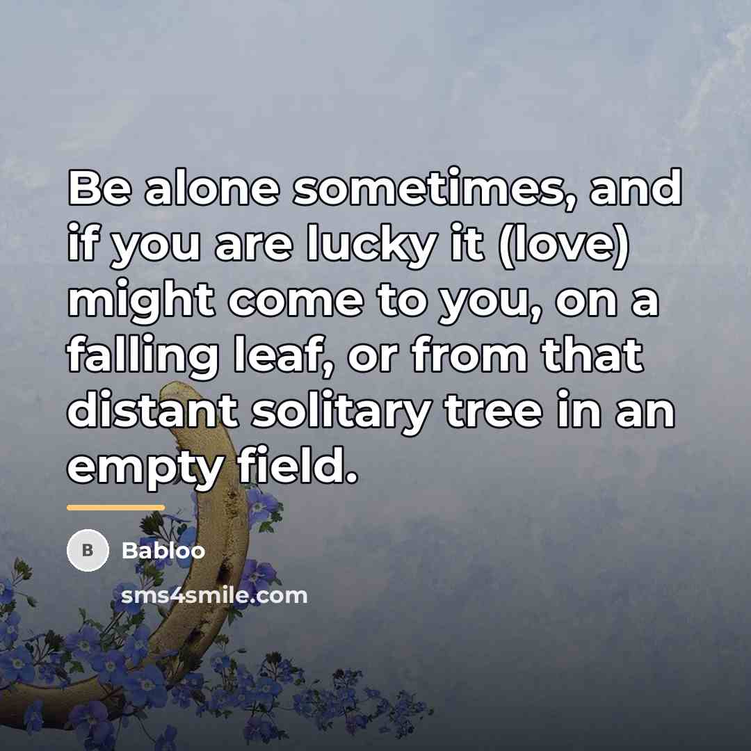 “Be alone sometimes, and if you are lucky it (love)…” quote by Babloo