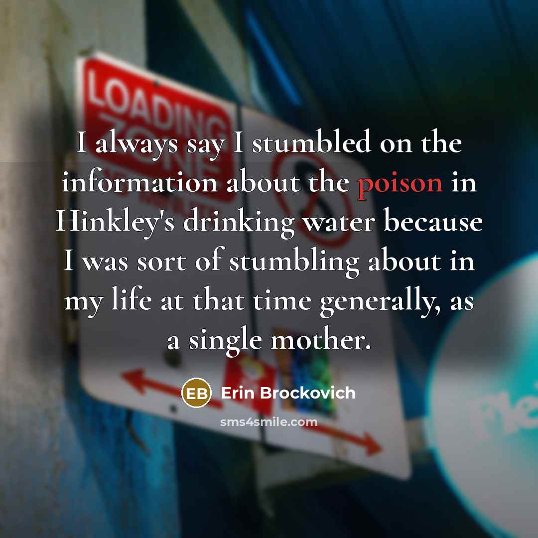 “I always say I stumbled on the information about the…” quote by Erin Brockovich