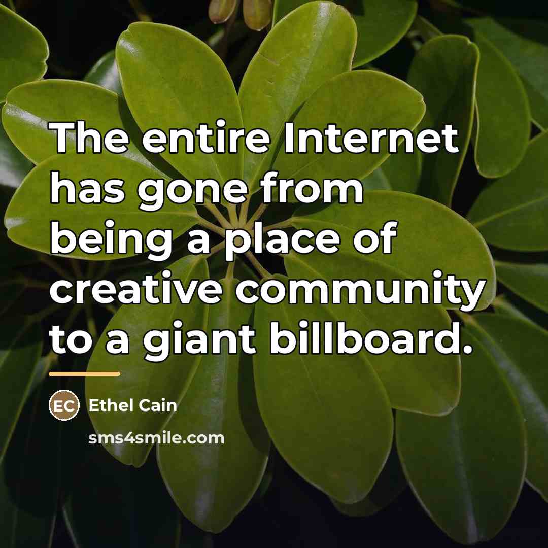 “The entire Internet has gone from being a place of…” quote by Ethel Cain