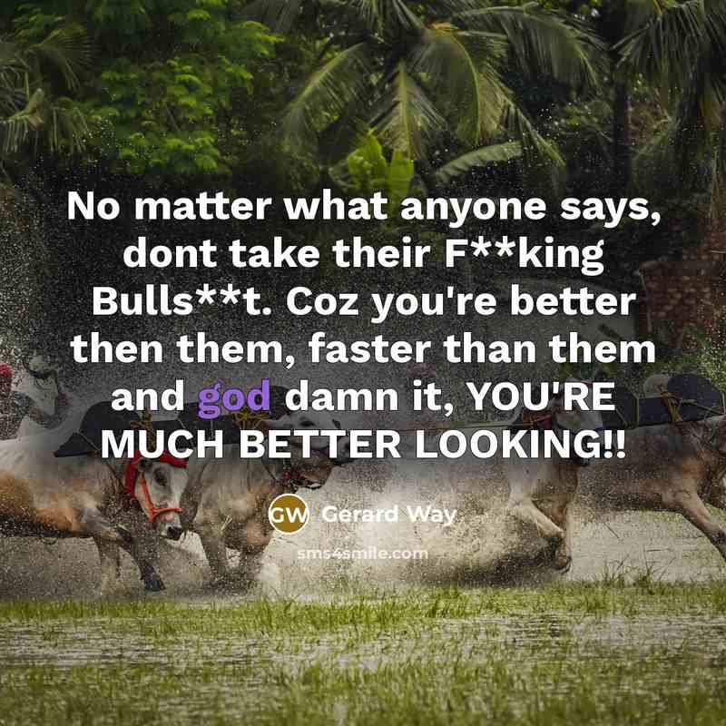 “No matter what anyone says, dont take their F**king Bulls**t.…” quote by Gerard Way
