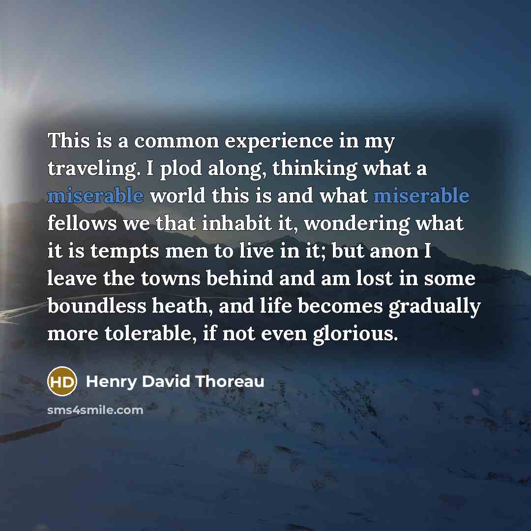 “This is a common experience in my traveling. I plod…” quote by Henry David Thoreau