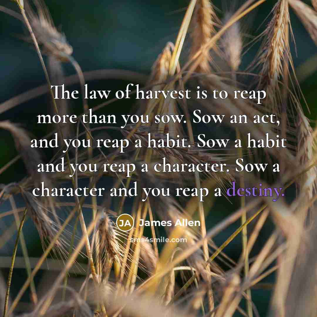 “The law of harvest is to reap more than you…” quote by James Allen