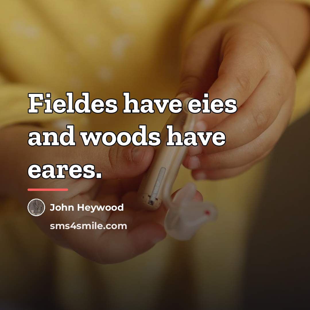 “Fieldes have eies and woods have eares.…” quote by John Heywood