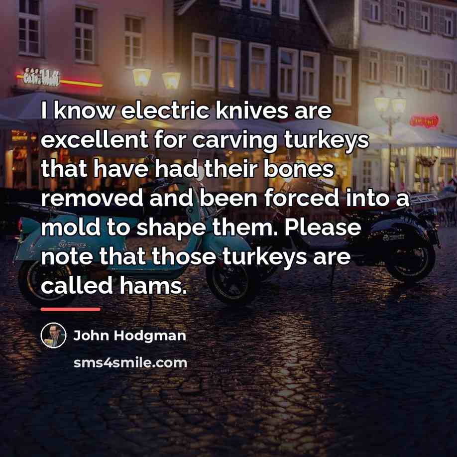 “I know electric knives are excellent for carving turkeys that…” quote by John Hodgman