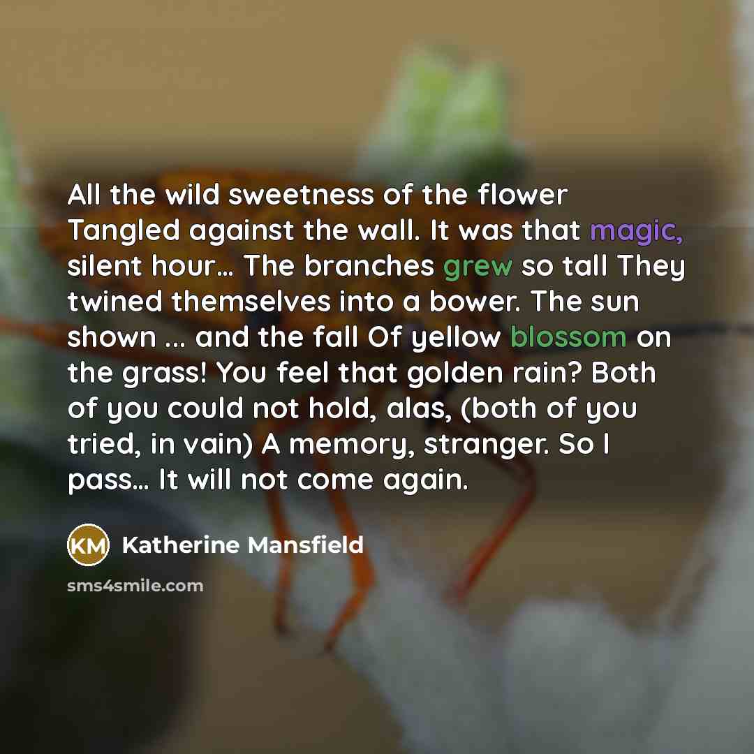 “All the wild sweetness of the flower Tangled against the…” quote by Katherine Mansfield