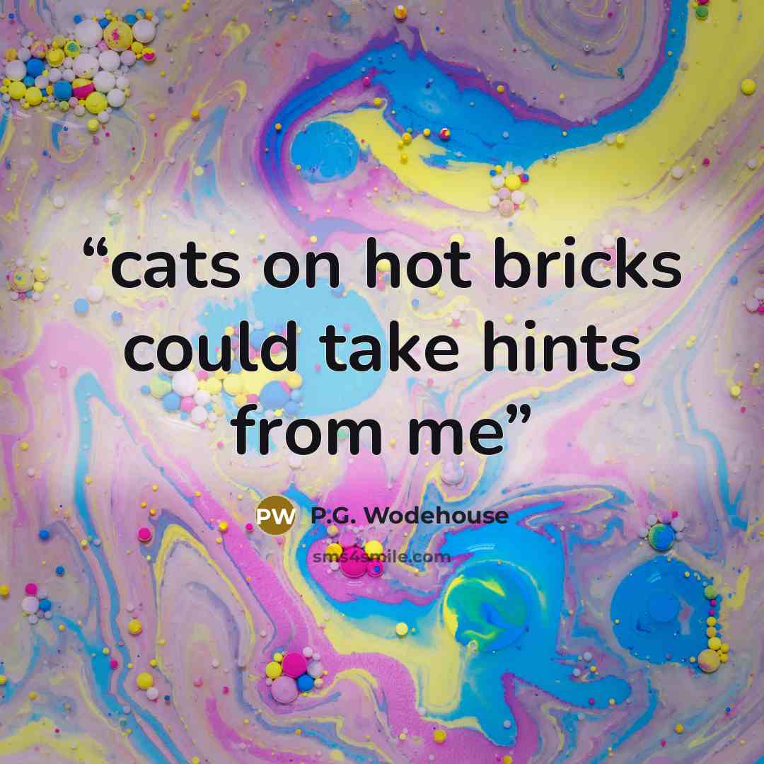 “cats on hot bricks could take hints from me” quote by P.G. Wodehouse