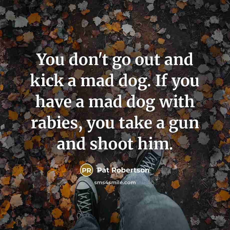 “You don't go out and kick a mad dog. If…” quote by Pat Robertson