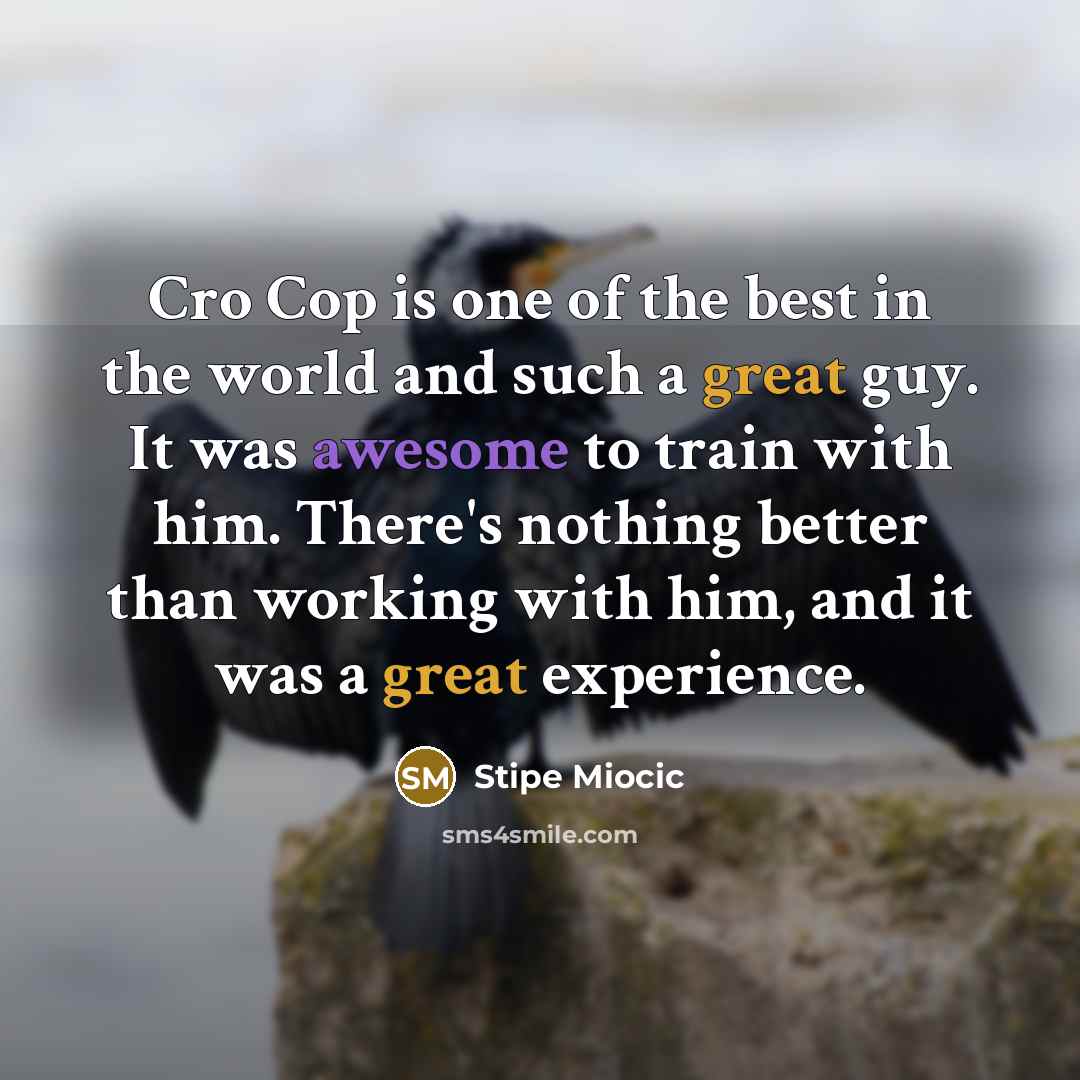 “Cro Cop is one of the best in the world…” quote by Stipe Miocic