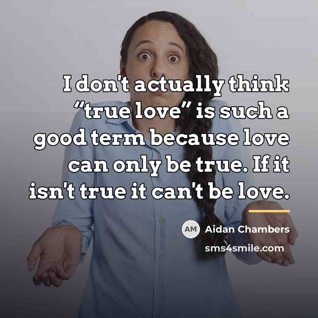 “I don't actually think “true love” is such a good…” quote by Aidan Chambers